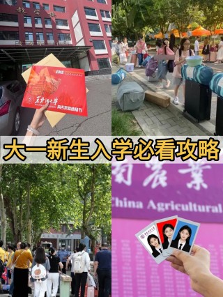 大一新生9月入学必看攻略｜资料齐全+体面入学