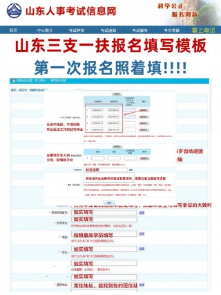 2026山东三支一扶报名填写模板